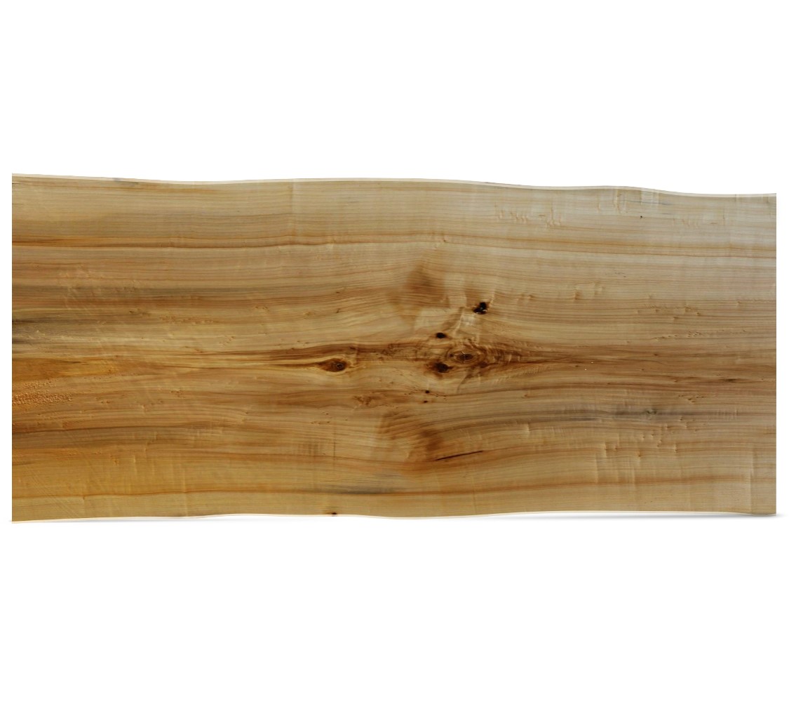 Tischplatte unverleimt Ulme Monoblock Stamm Unikat Baumscheibe 265 x 100 x 5 cm 