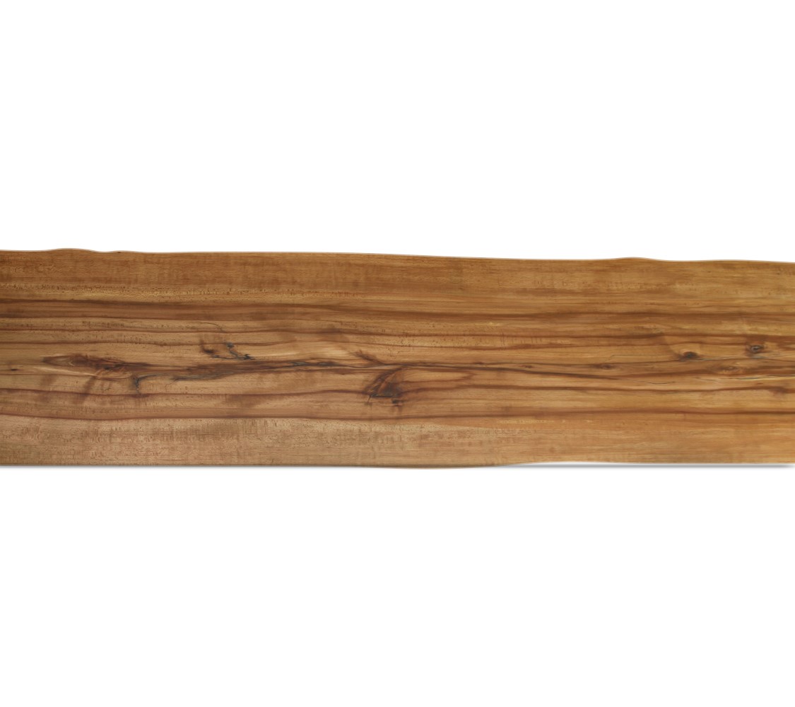 Baumtischplatte Kernbuche Stamm Unikat Baumscheibe Monoblock 500 cm x 75 bis 62 cm x 8 cm 