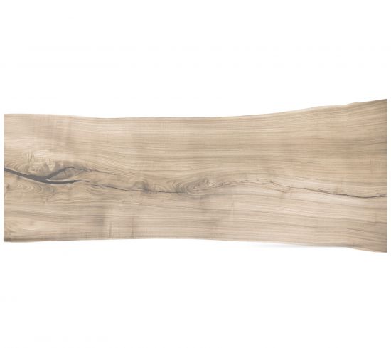 seltene Baumscheibe aus einem Stück nach Maß gekalkt