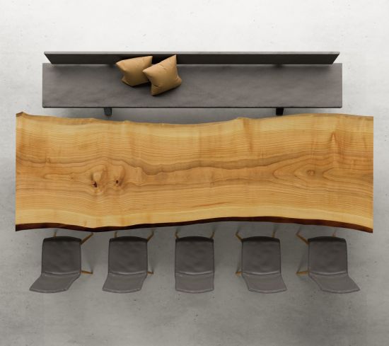 seltene Baumscheibe aus einem Baumstamm nach Maß