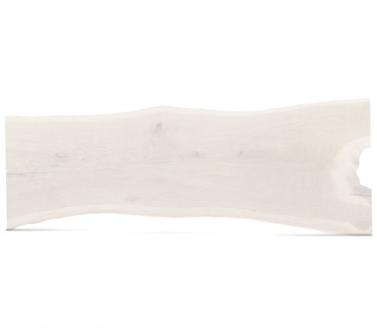 seltene Baumscheibe Eiche weiß