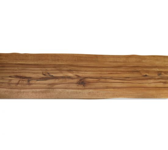 Kernbuche Baumscheibe 500 cm x 75 bis 62 cm x 8 cm