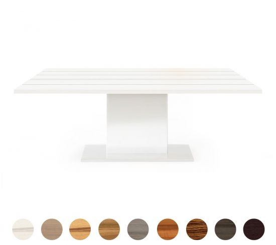 Gartentisch mit Mittelfuß und Tischplatte Massivholz